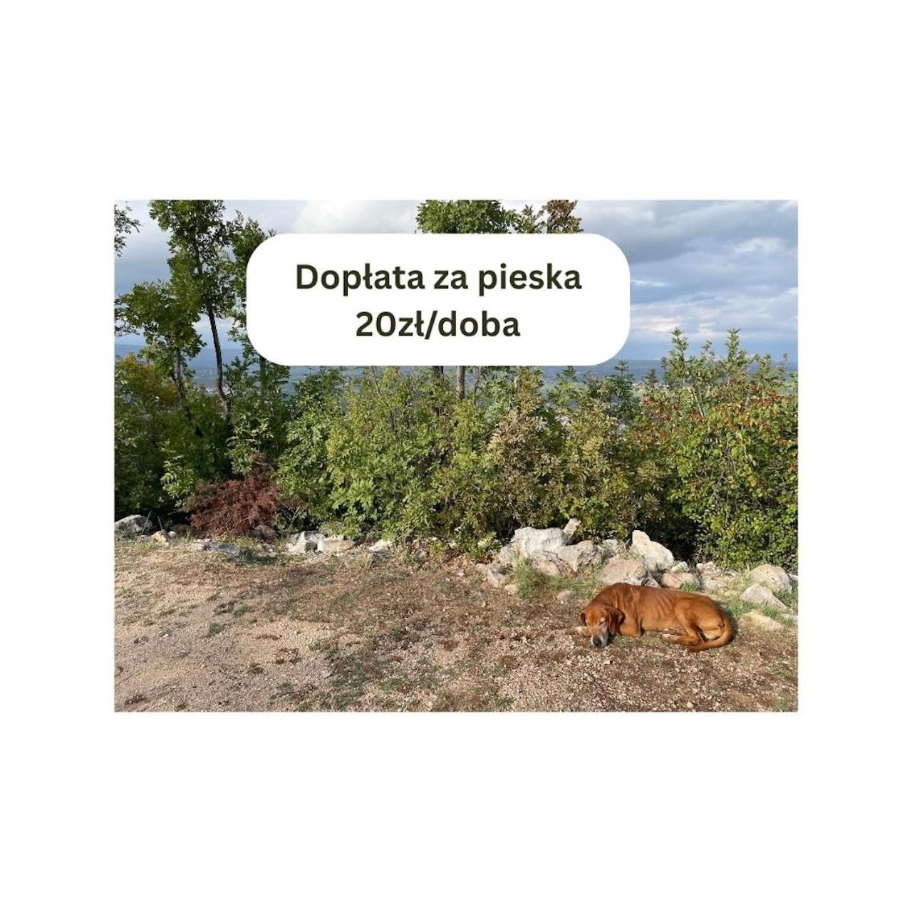 Domek letniskowy typu bliźniak Supraśl Zewnętrze zdjęcie
